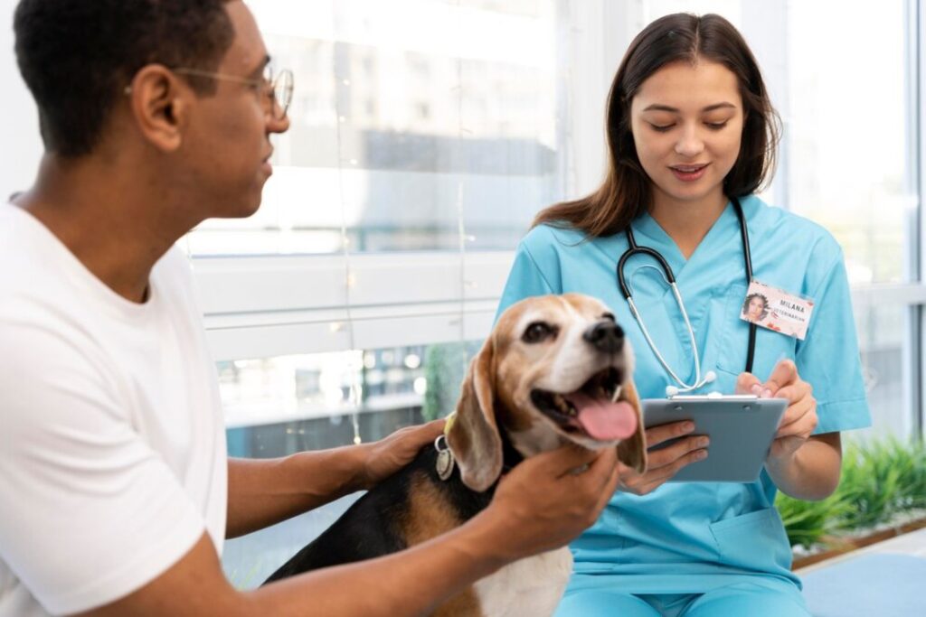 Veterinary Clinic Marketing
